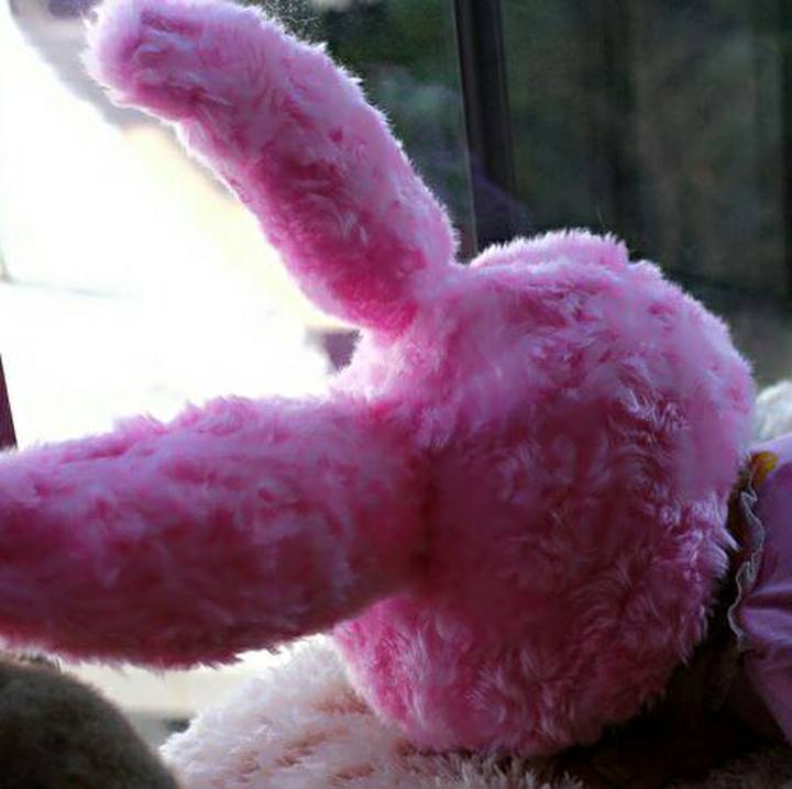 D2da55eb 5fbb 4b75 aa5e 00ab2f87ce47