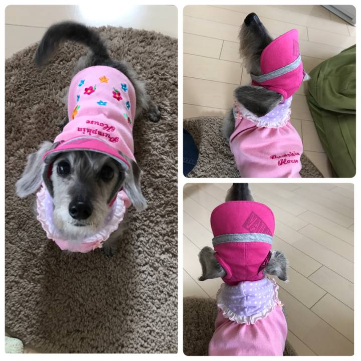 D2da6a5d 5d89 4279 8592 66af81dd7982