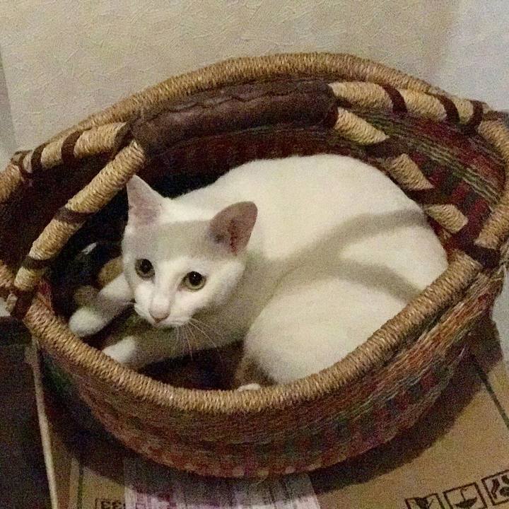 D2daac28 4574 4109 b280 2e2ae8c2cc81