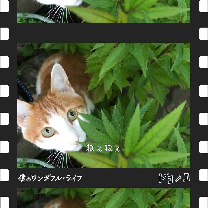 D2dada16 8b8c 4647 99ca 8473179602db