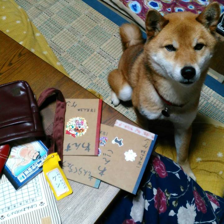 D2dae41f da50 4299 8a22 1e041fbb22c9