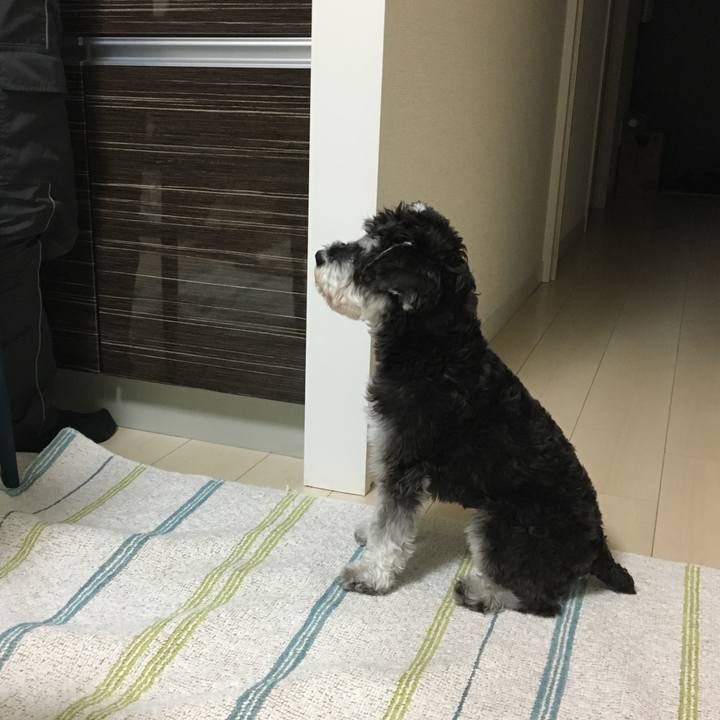 D2daec57 27c2 4d46 ad98 7932307ff803