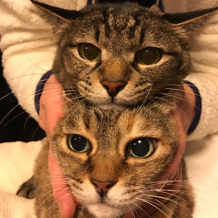 D2daf0be 821f 44e6 afe7 9469b3e62e38