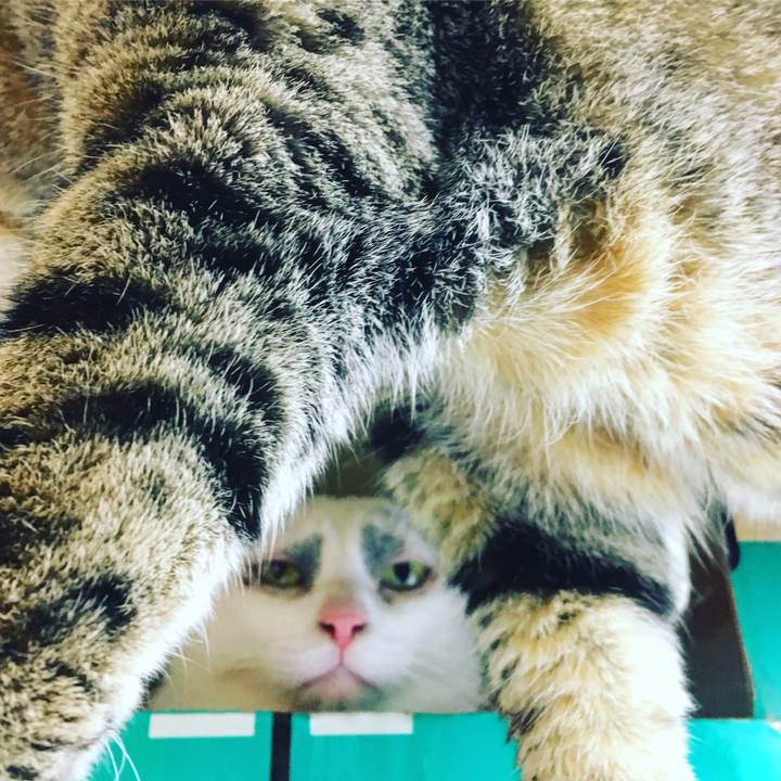 D2dbc997 5260 4a0e a71a 69b40543dd7c