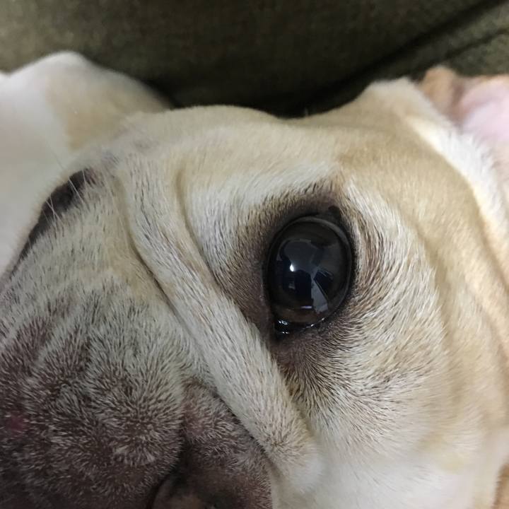 D2dca0c7 5907 4173 b684 0a169a95e26a