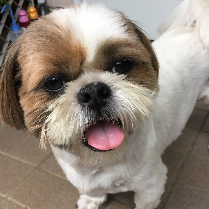 D2dcaef6 82c0 4af0 abb9 ca3e592f7ce1