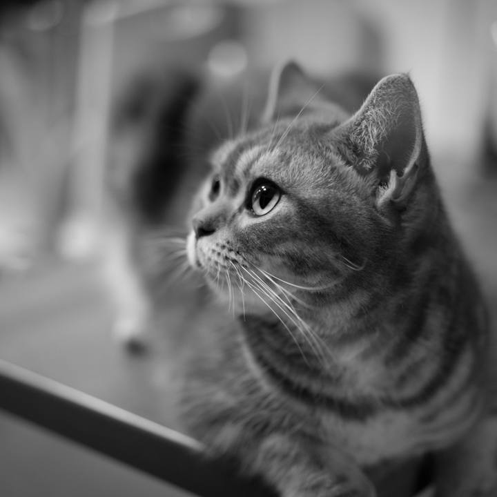 D2dcb96f e465 43fe 927d e69fc744c8a9