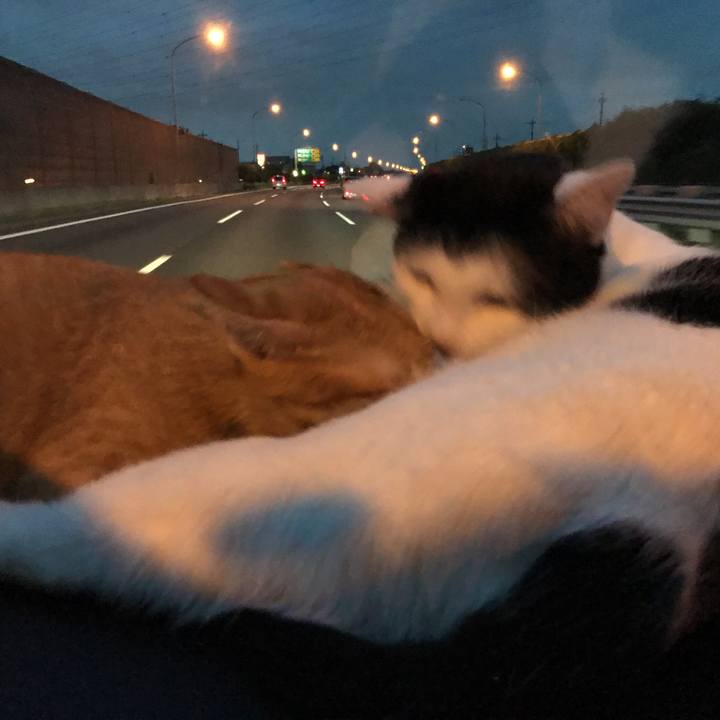 D2dce621 e310 44be 8171 573ea9824494