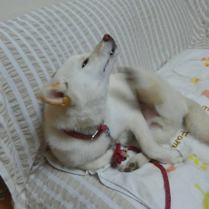 D2dce92a 5ce5 4433 818e f2689530f50f