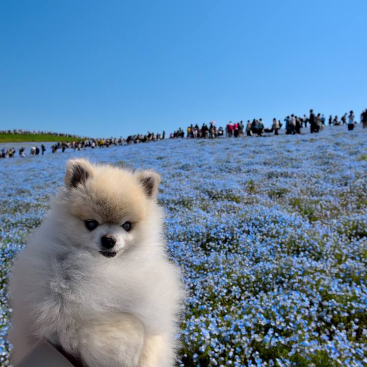 D2dcee46 1499 4caa adbf d6acab33b3aa