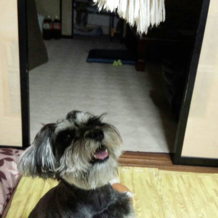 D2dd21f5 ea64 41f4 9c51 511ec4c41c1e