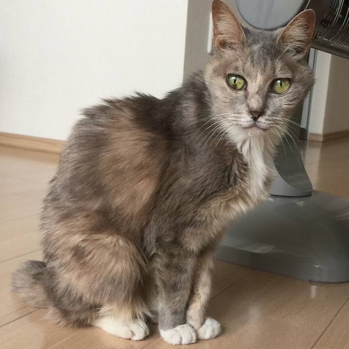 D2dd49a1 8e1b 48ab bf62 058ca93a0e4c