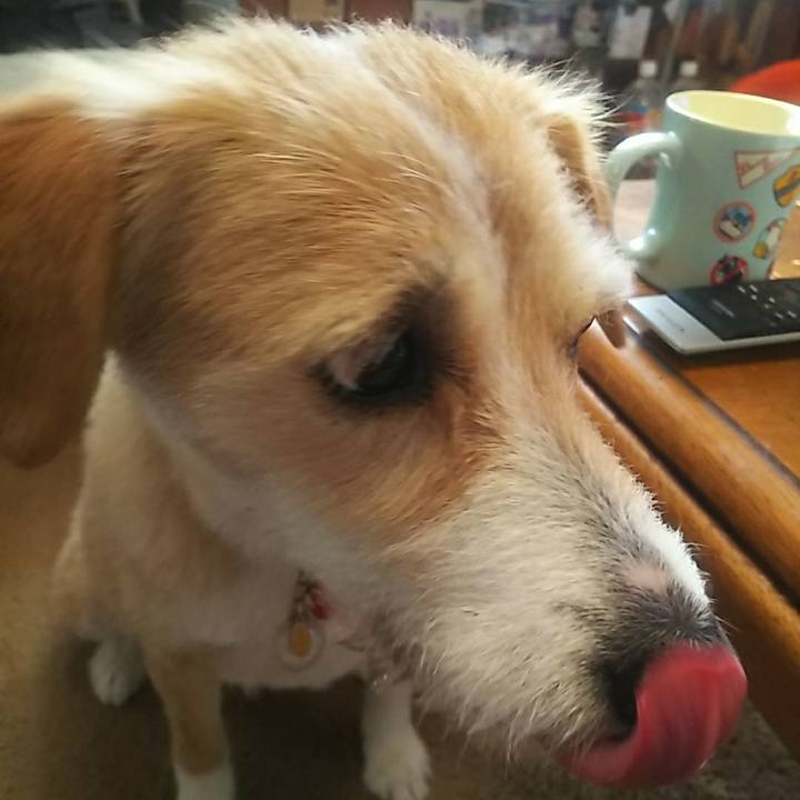 D2ddbdfe 81bc 41d5 9b8c 6b06cc89e5d6