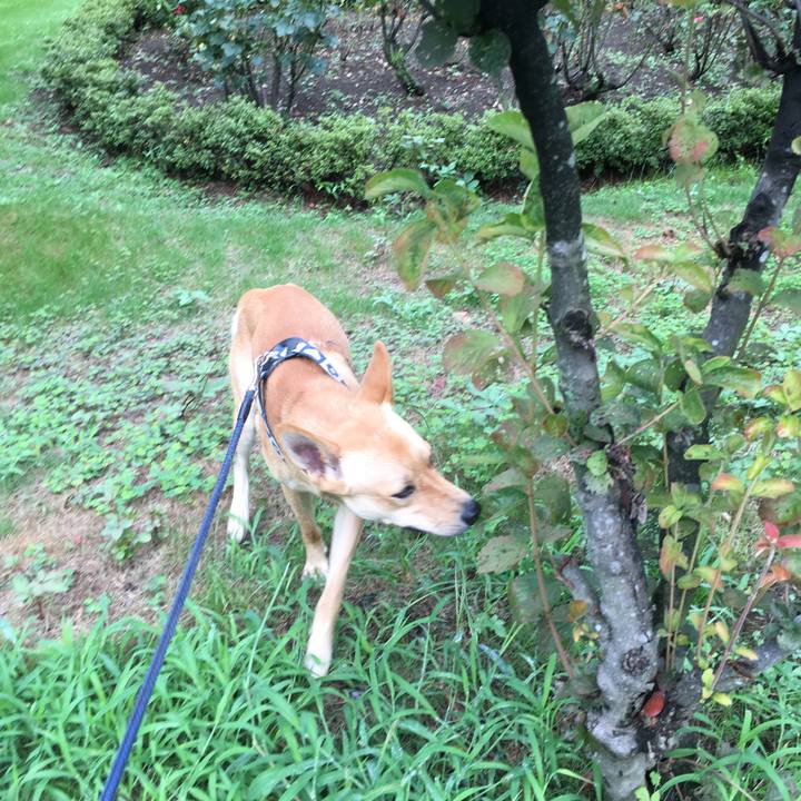 D2ddd345 23d2 47bc 808c 9fa5426c06d6