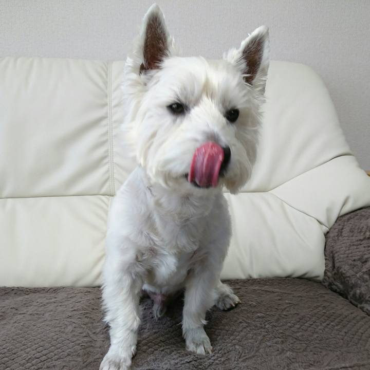 D2de14c7 46cd 416f 835c d7b5abb8e8d5