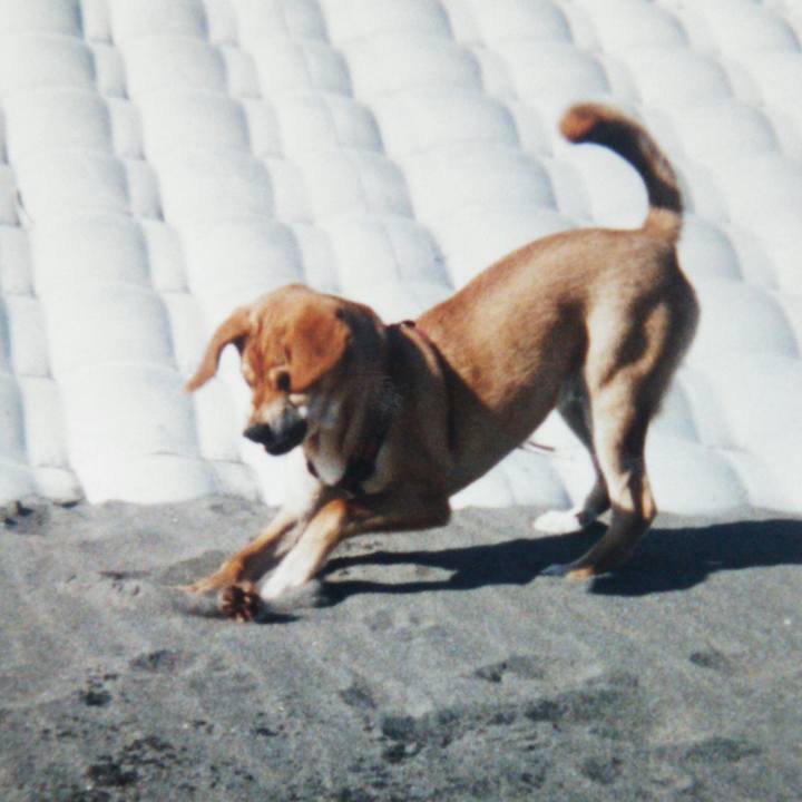 D2de29d0 4ed6 4720 aad6 09738dc3fc51