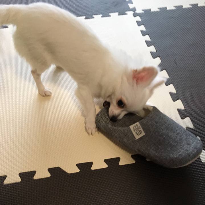 D2ded444 2961 4e83 965d 208e1fdf78e9