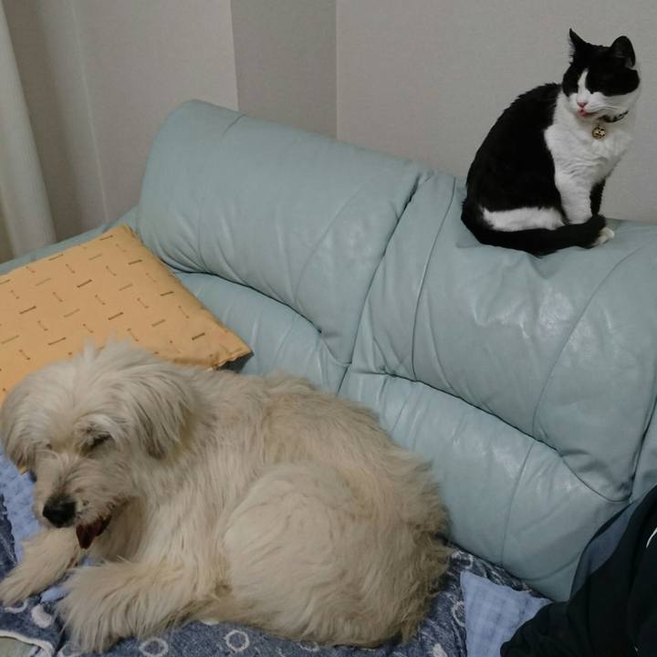 D2df5219 4c27 482d 97a2 85a7ba7645ae