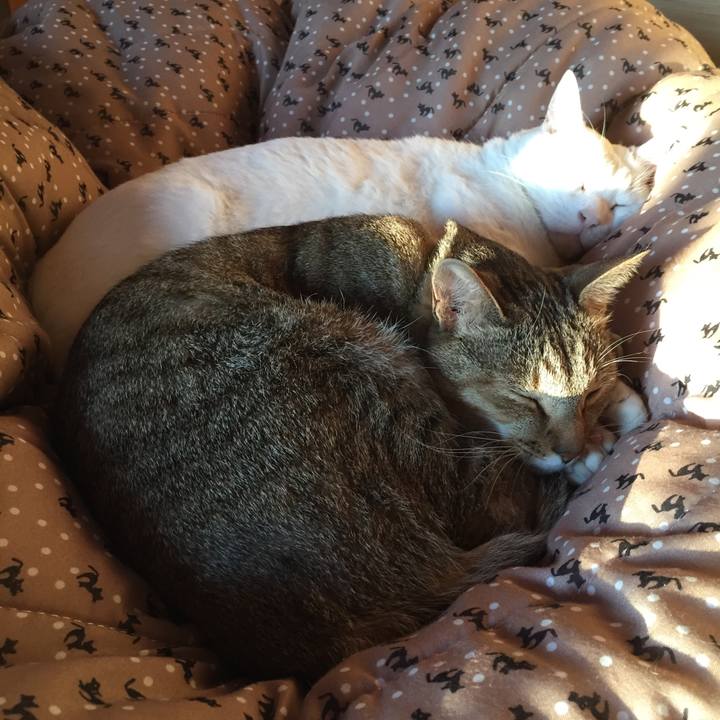 D2e04252 294f 4db6 b9b4 97a53caf6ebe