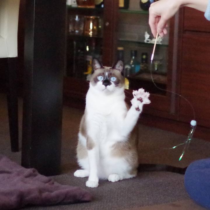 D2e08c7d 4c6d 4706 8470 d9bcabcca836