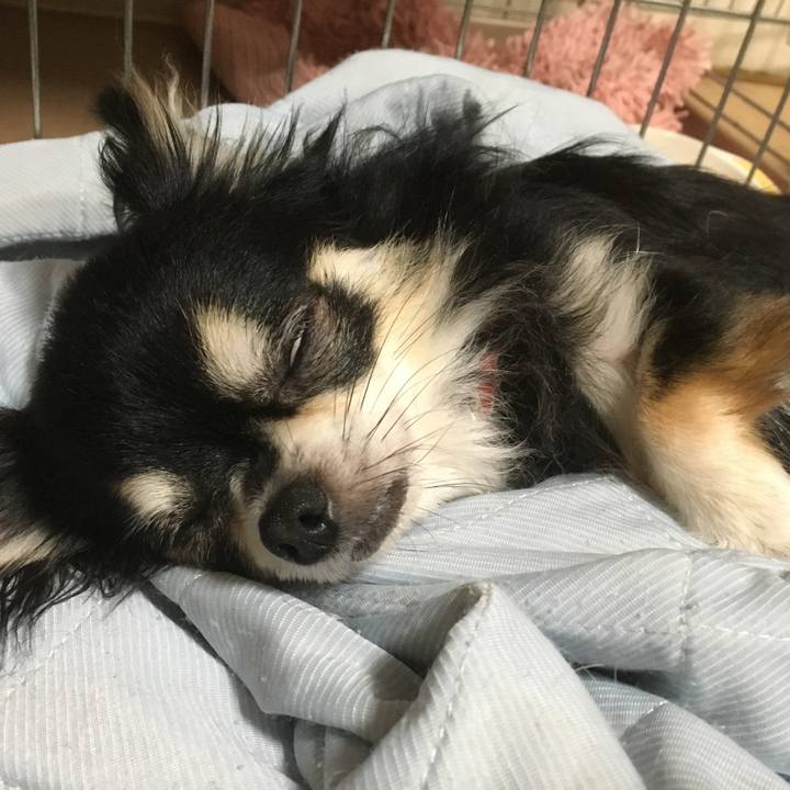 D2e0ecc8 e7fb 4a83 a8e8 b432cdf4a4fd