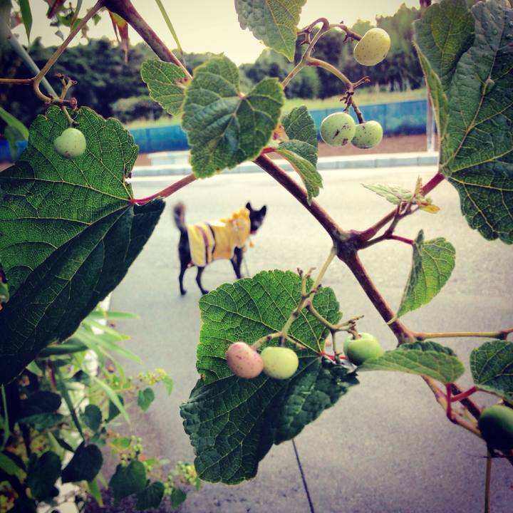 D2e10188 93a9 4b5f 8535 110465e6e88d