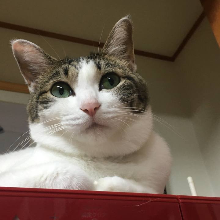 D2e241ef 63fe 4947 8c7a 762af1c31a5f