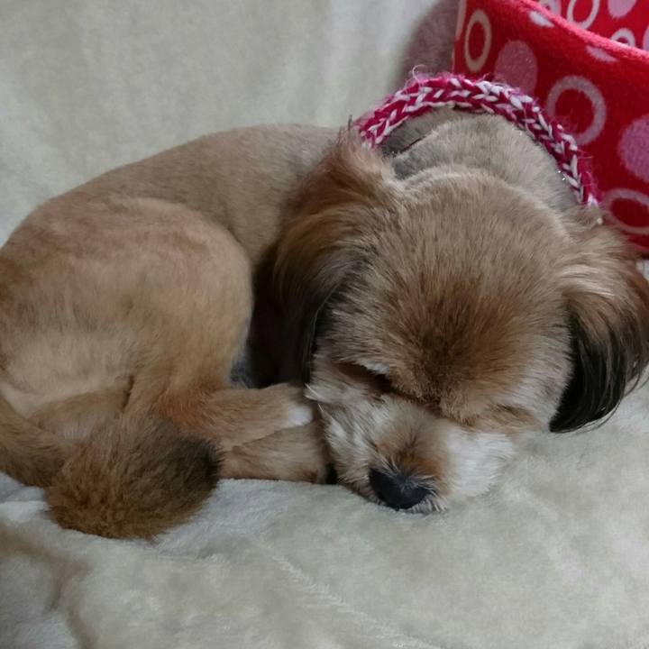 D2e24ddb 5489 46b6 8ec0 01fb24a71c4a