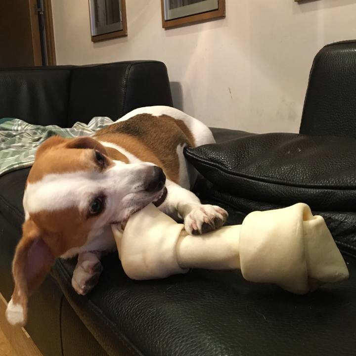 D2e2921e 1b1c 4a03 81f8 112c7c4a8828