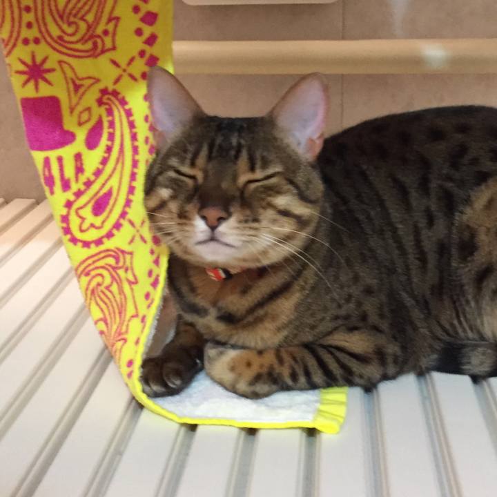 D2e3322d fafe 49cf 9c2d 37248093f211