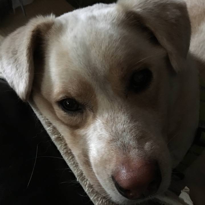 D2e3353d 3c0d 469d 97b4 f4f961bd28b1