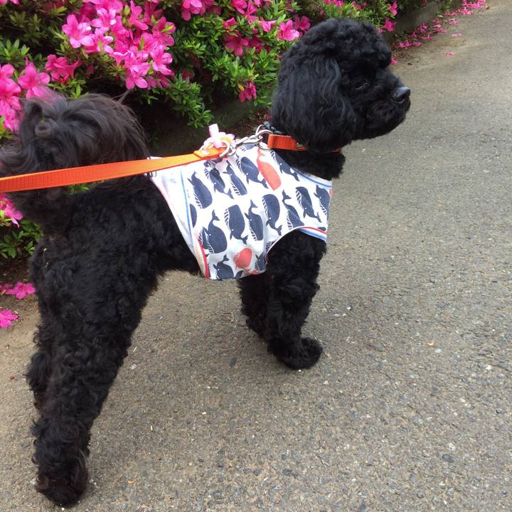 D2e3759d 490d 4f0c 8b9a 01391428c733