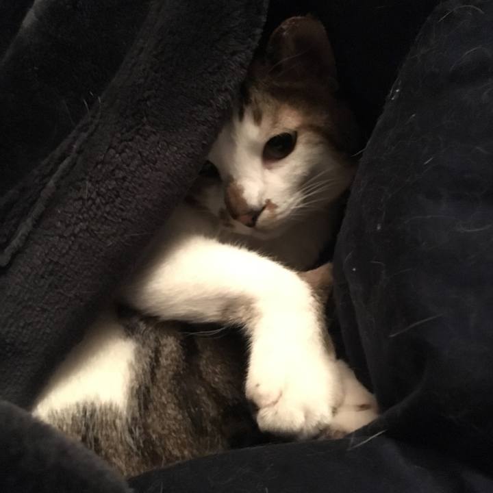 D2e39533 f589 4e52 8eaa 0aaa6f80a92e