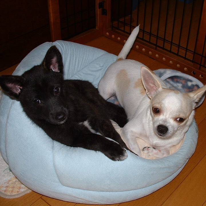 D2e3df8c c7ae 4a59 9848 84ed3dcc9281