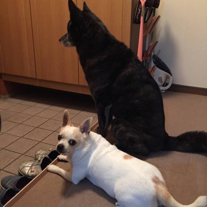 D2e4d12b 94f5 4b5d 9ae3 ef55a3b64c35