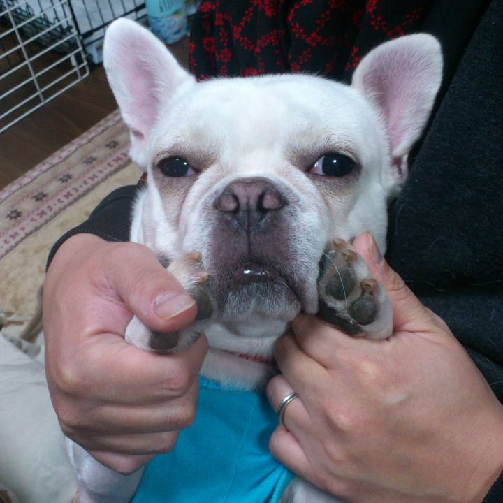 D2e565e9 2d19 44b2 8fa2 0f62e7d88244