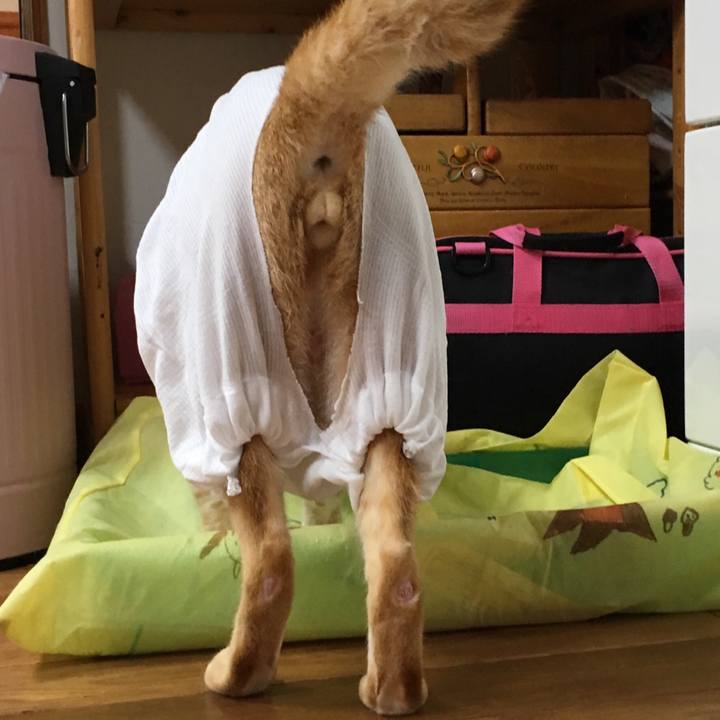 D2e5f18e a4a9 4fe0 b916 2361df776841