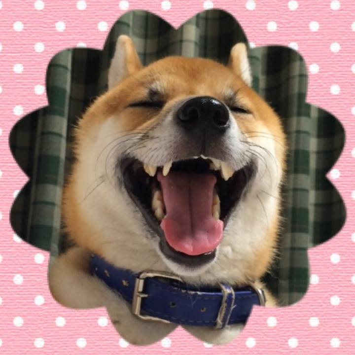 D2e67e6e 4d9b 42b5 bfa6 abc533354287