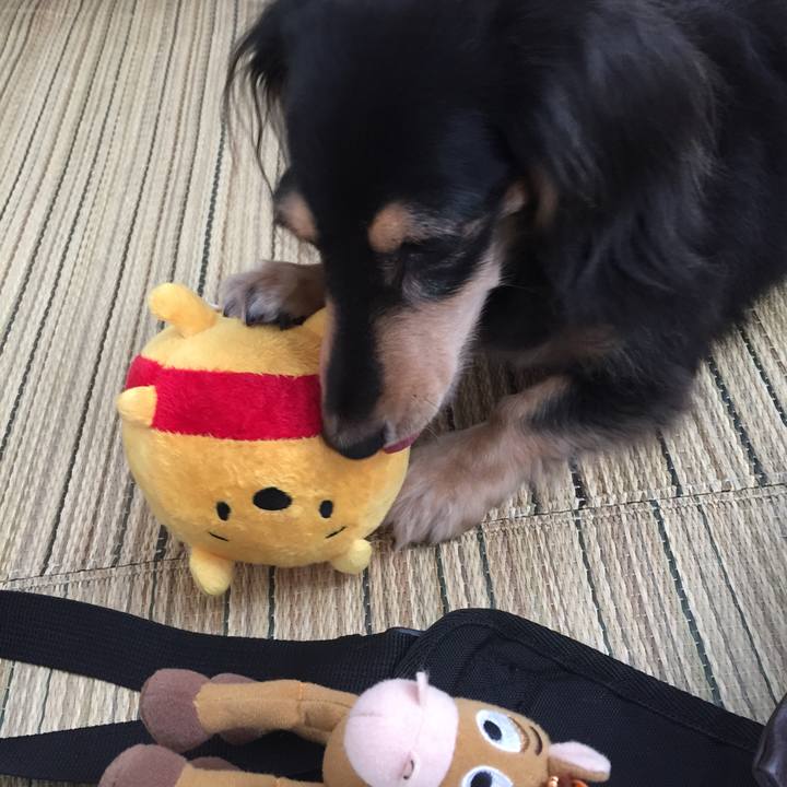 D2e67f61 4922 4811 a220 1c7a3c8272a9