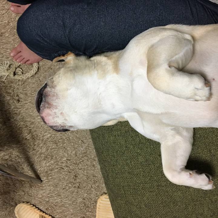 D2e79172 cf47 47b7 8deb 7ea03396b8d3