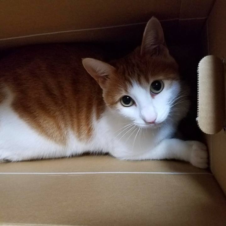 D2e7ea51 5dce 4b44 b8fd ae8dce594979