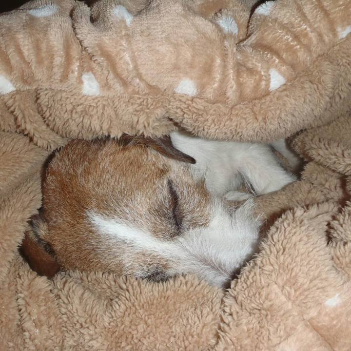 D2e7f2ce 54a6 42f3 887d 9ba340a315b5