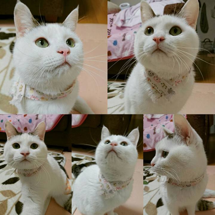 D2e85336 c1b6 4a9a 91c4 e4db6968cd25