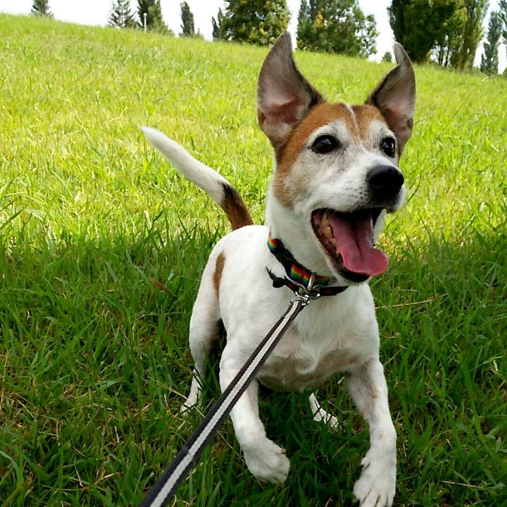 D2e85506 f5d0 4697 8908 c77e9aa63e7c