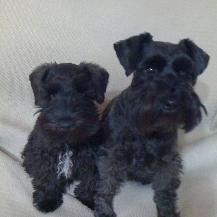 D2e86e1c f764 4526 830f f35be291bfb6