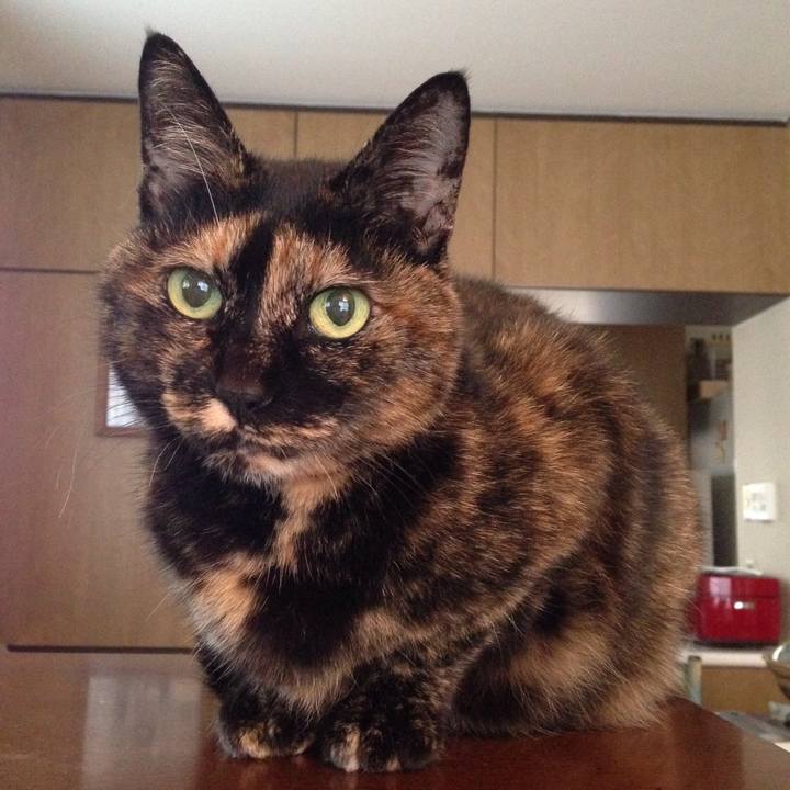 D2e9107e 7871 4948 b395 60508fef4b6a