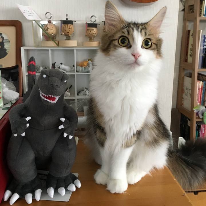 D2e94ca1 65c2 4857 80e1 80bff6a0a817