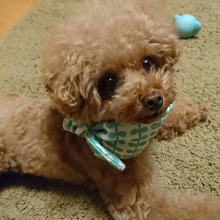 D2e9512d b0e2 473a a339 3504e55ed2fd