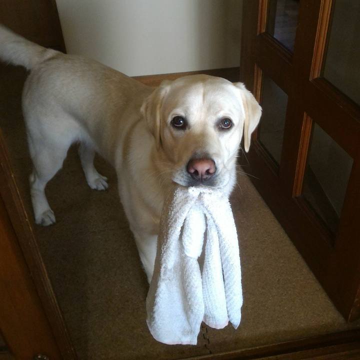 D2ea4e67 4c87 42c7 b782 91175432e890