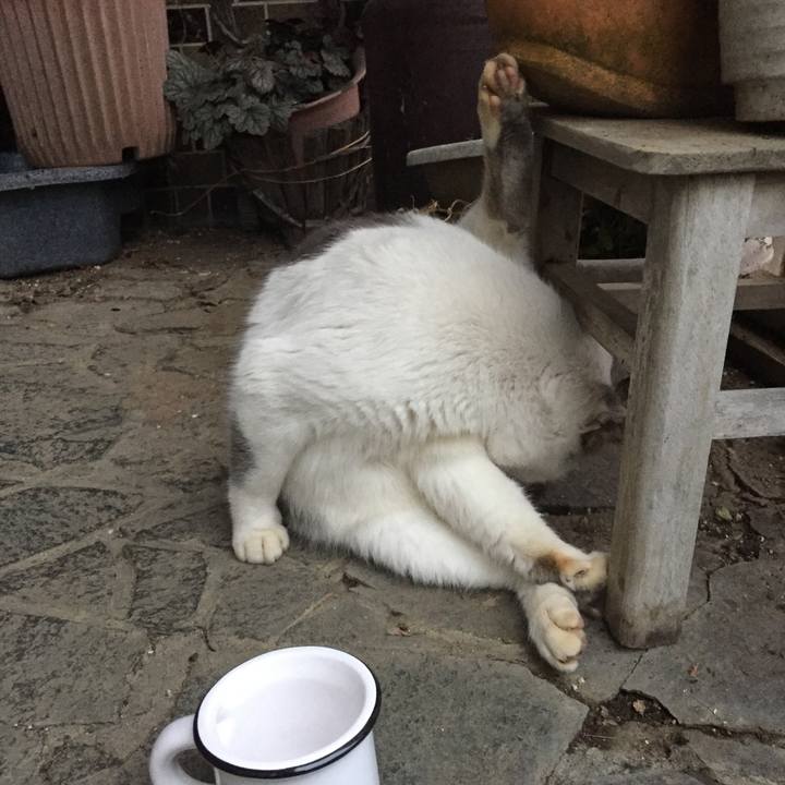 D2ea9f38 6fed 4927 82e5 c7b3d4312664